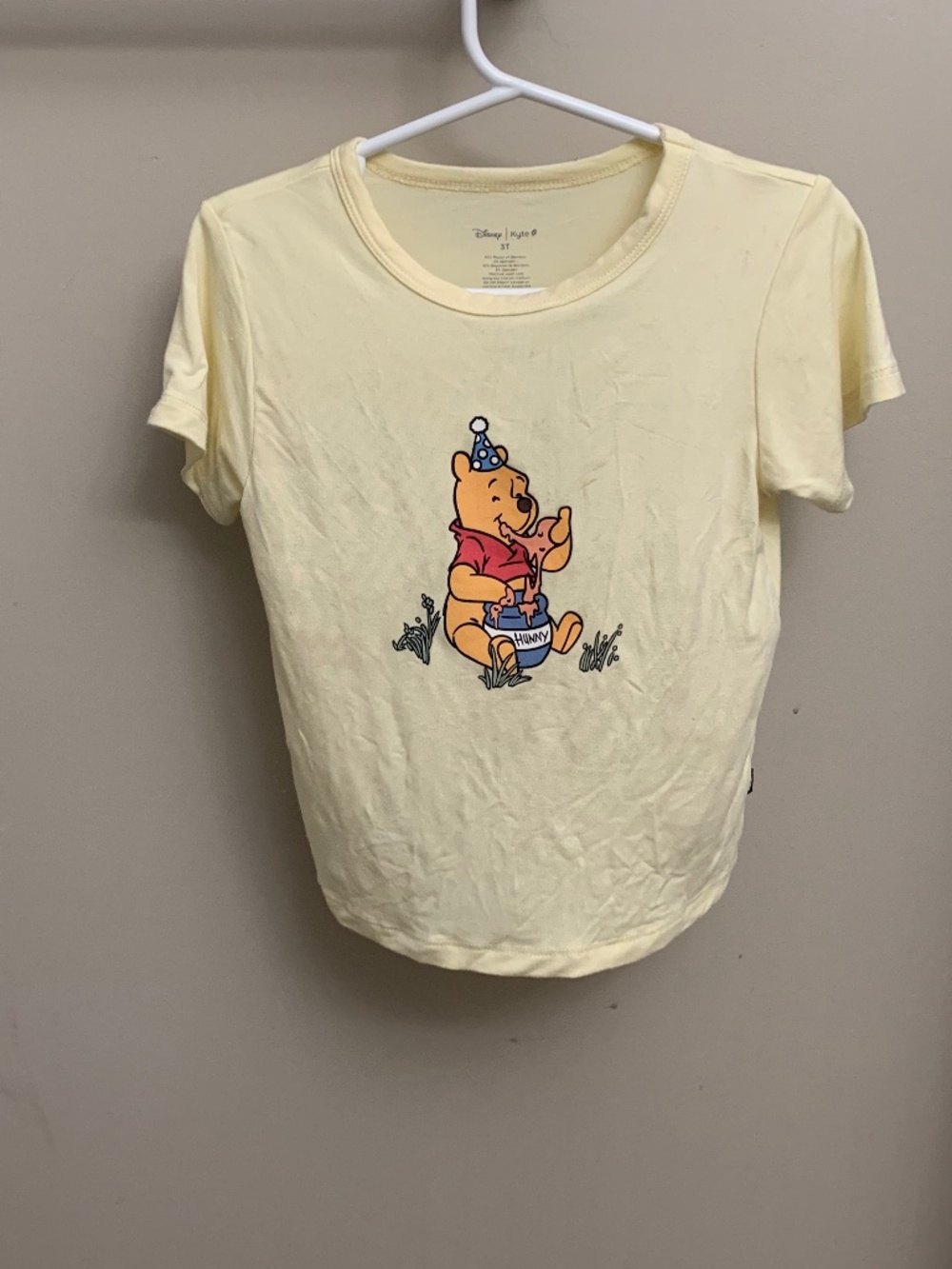 Winnie the Pooh Kyte 💙2 for 30💙